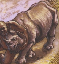 Rhinoceros