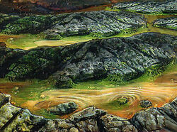 Tsuno Swamps