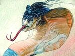 Shapeshifting
