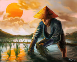 Rice Farmer