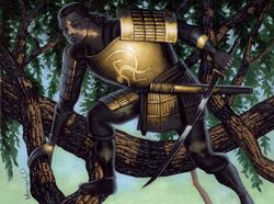 Armor of Light