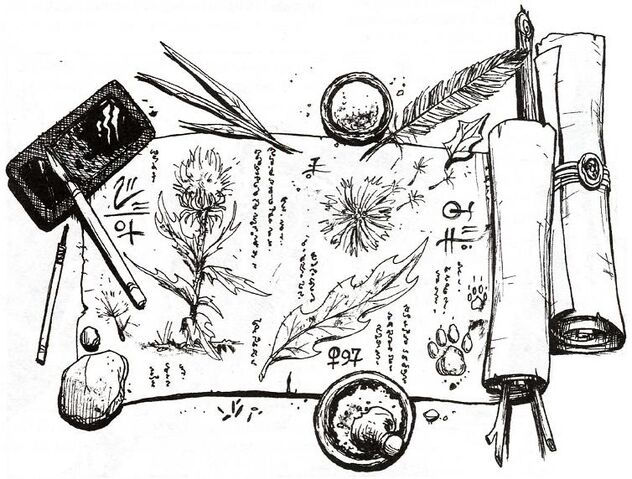 File:Agasha's Scroll.jpg