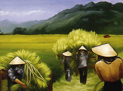 Rice