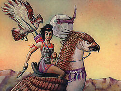 Hawk Riders