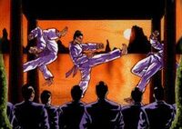 Ronin Dojo