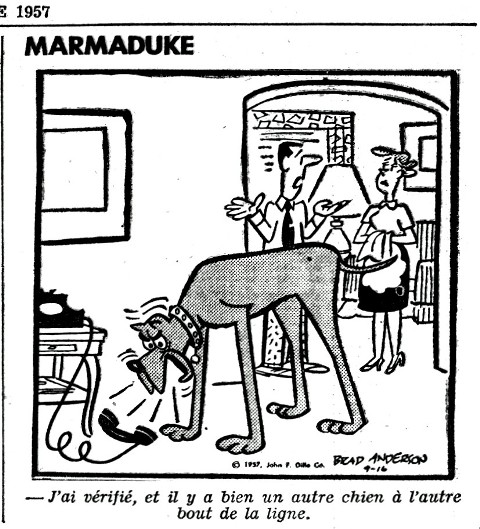 Marmaduke
