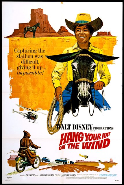 Hanh hat poster