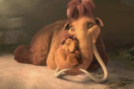 Images (14)