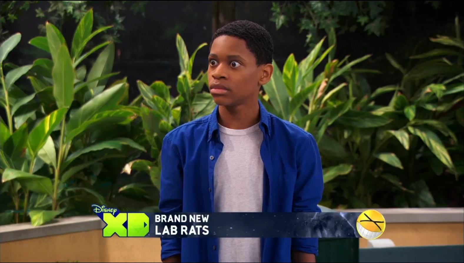 Which Father Knows Best?/Gallery Disney XD's Lab Rats Wiki FANDOM