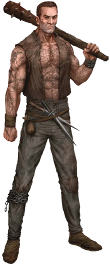 Matón Warhammer JDR 3Ed - Player's Guide