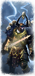 Paladines aspirantes