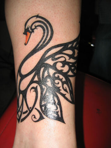 File:Swan1.jpg