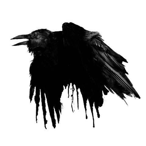 File:Raven.jpg