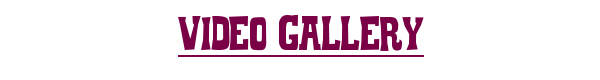 Vidgal