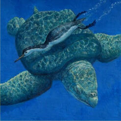 Tortuga 2