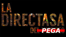 Logodepega