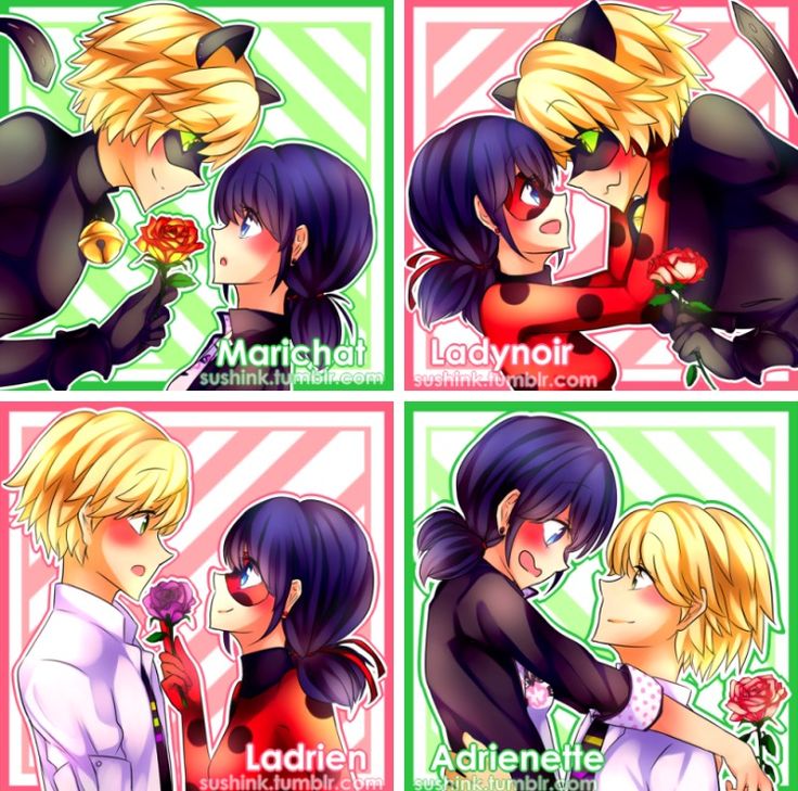 User Blogmiraclefanfavorite Version Of Ladybug And Cat