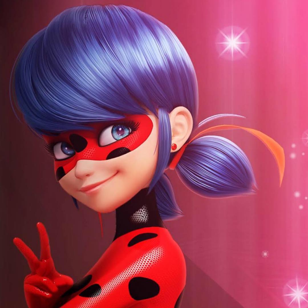 ladybug photo