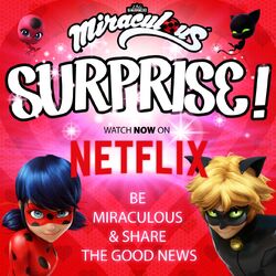 miraculous tales of ladybug cat noir miraculous ladybug wiki