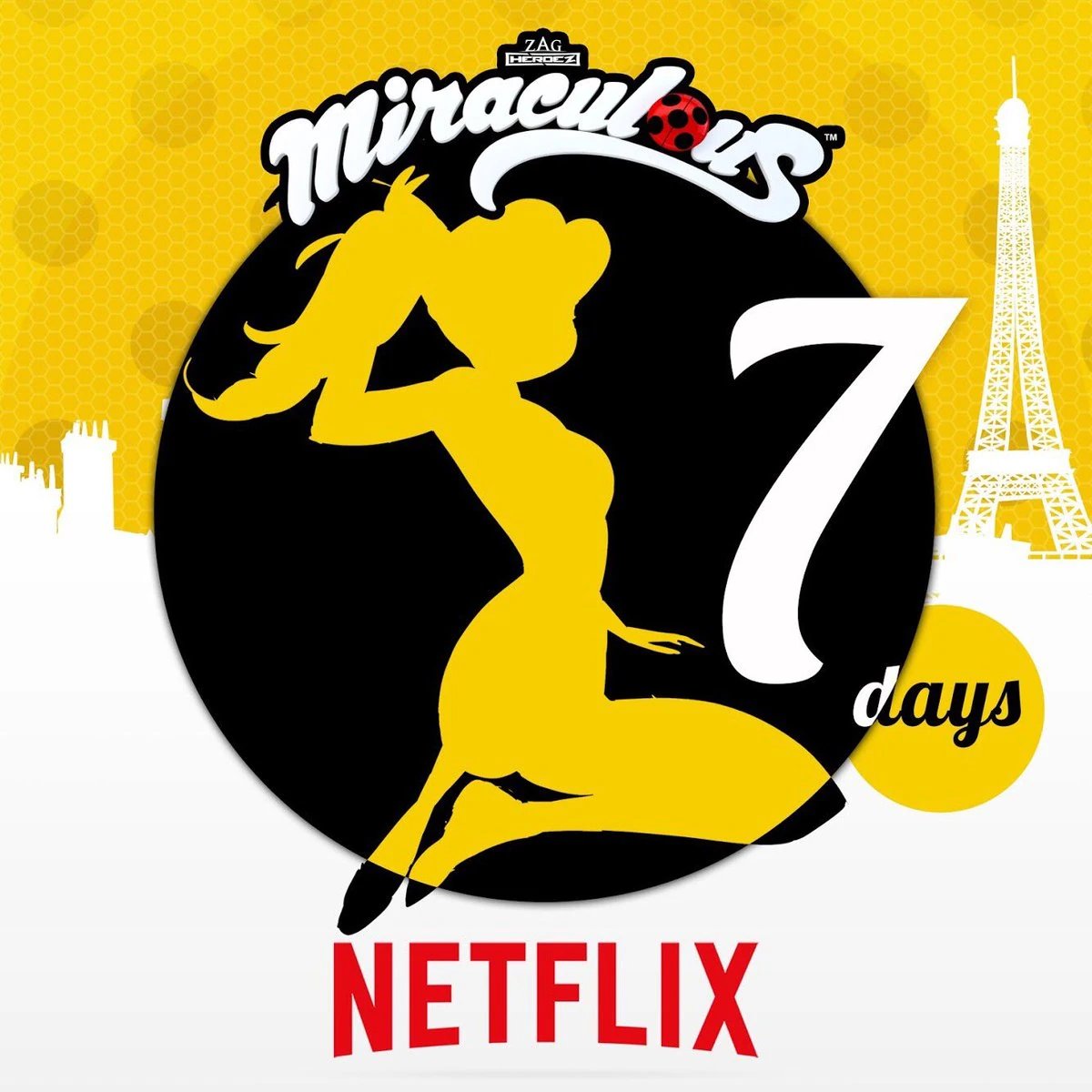 Miraculous Tales Of Ladybug Cat Noirgallery Miraculous