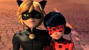 LadybugXCatNoir