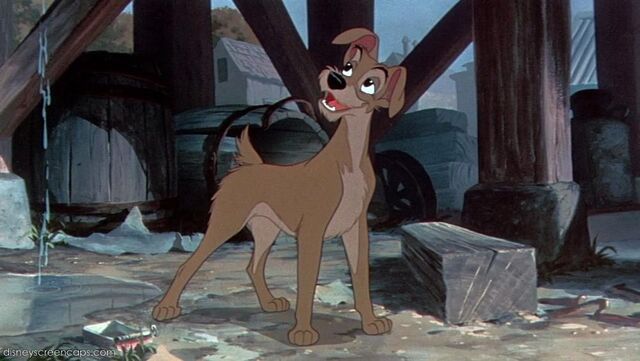 File:Tramp-disneyscreencaps.com-1487.jpg