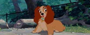 lady the dog disney