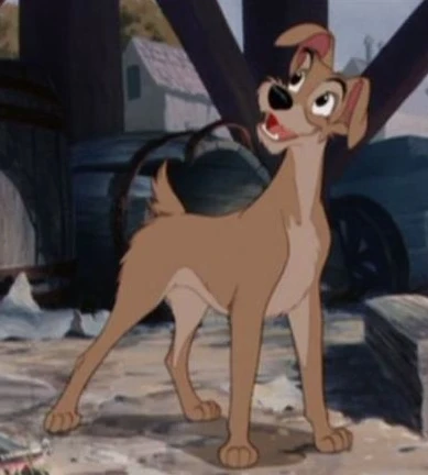 boy dog from lady and the tramp