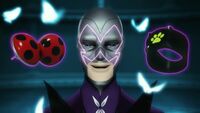 SW Hawk Moth Miraculous