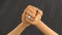 TB Adrien's ring