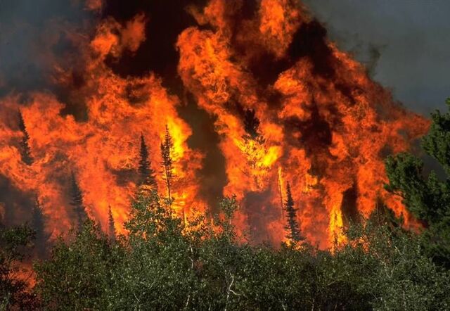 File:Fire.jpg