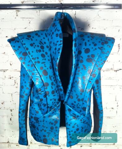 Файл:Sally-lapointe-jacket.jpg