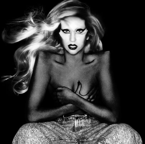 File:12-14-10 Nick Knight 034.jpg