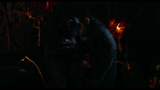 Headbuttmonkey