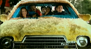 PacerRegulo