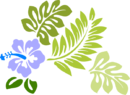 Hibiscus-hi
