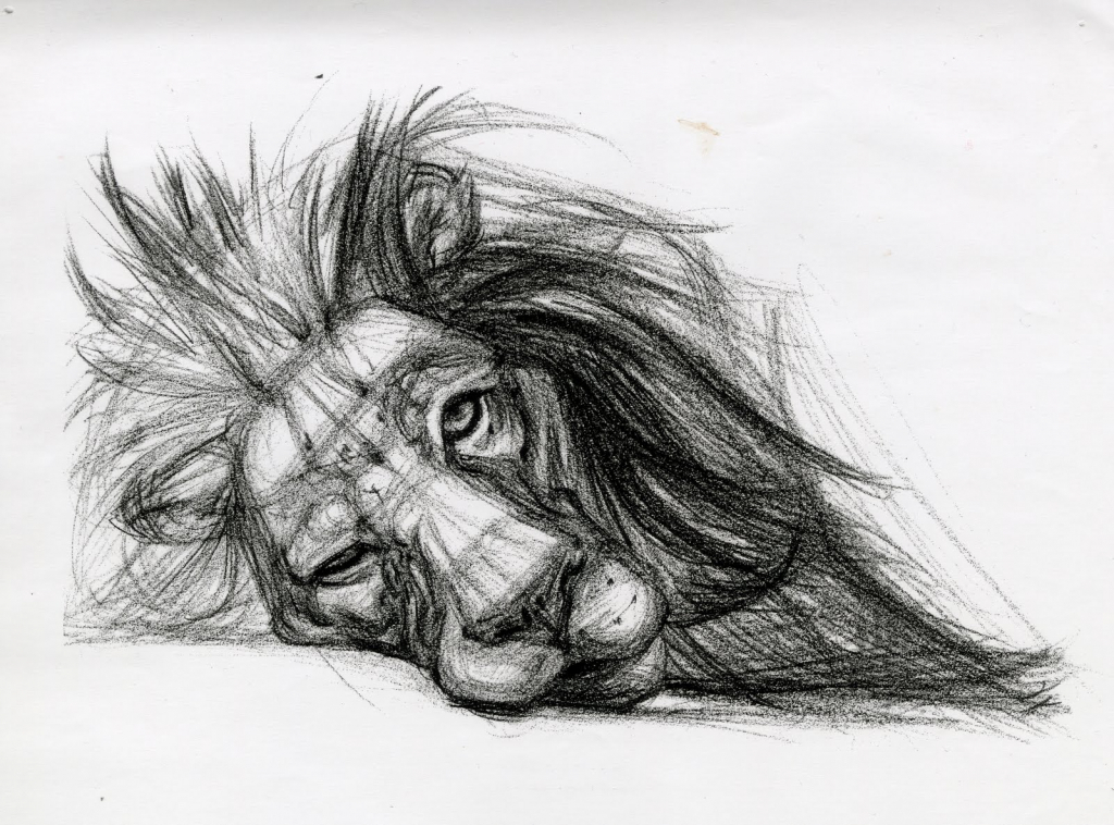 lion drawing