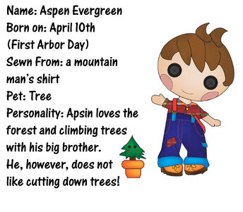 Aspin evergreen