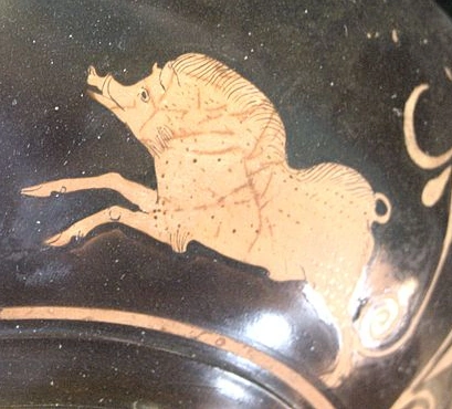 Cerda de Cromión Wiki Mitología Griega Fandom