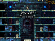 Field gateofillusion