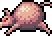 Dot kodama rat