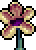 Dot miraculous flower-faced snouter