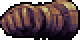Dot rock hand