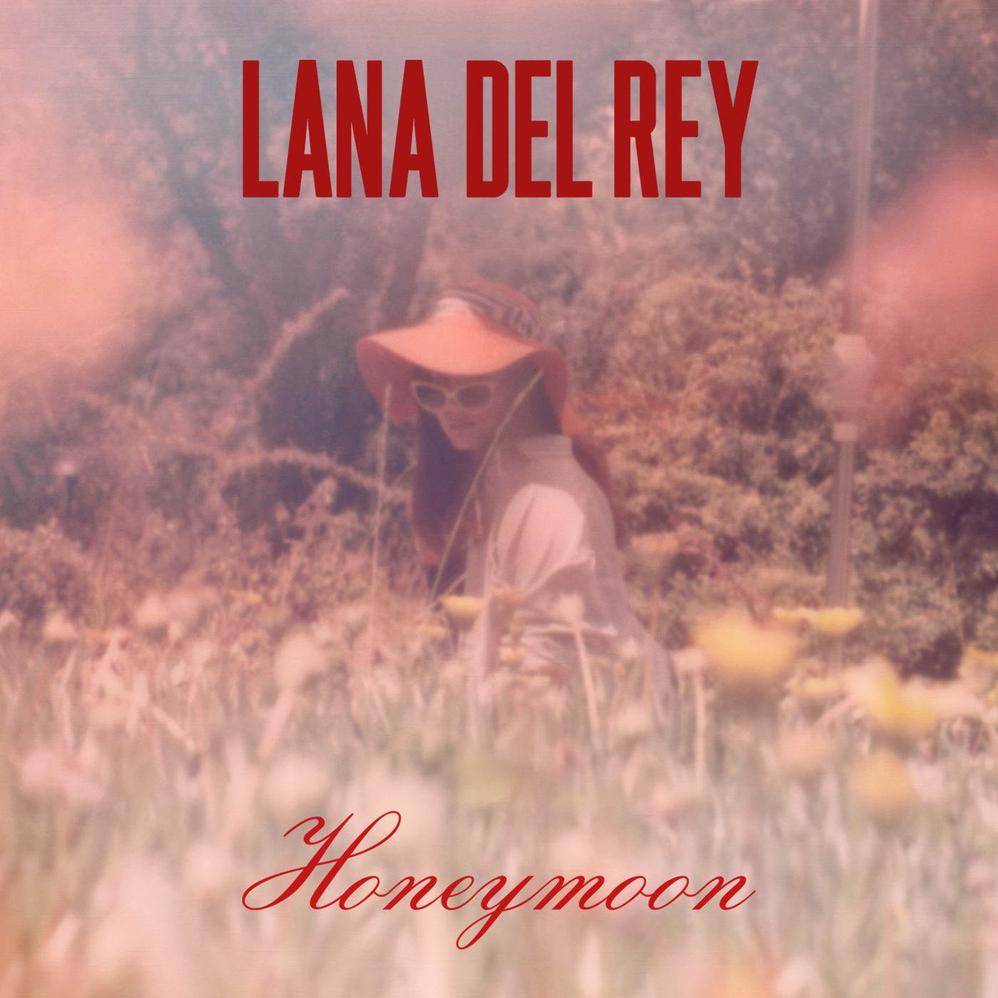 lana del rey unreleased album cover