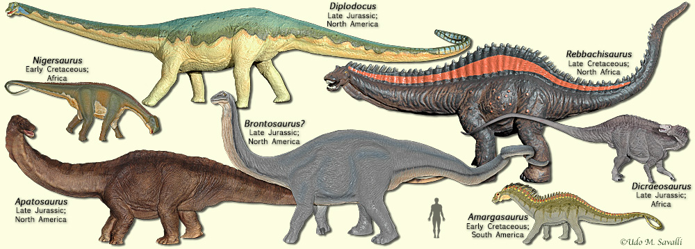 types of theropods