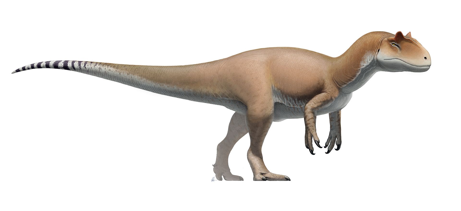 allosaurus with horns