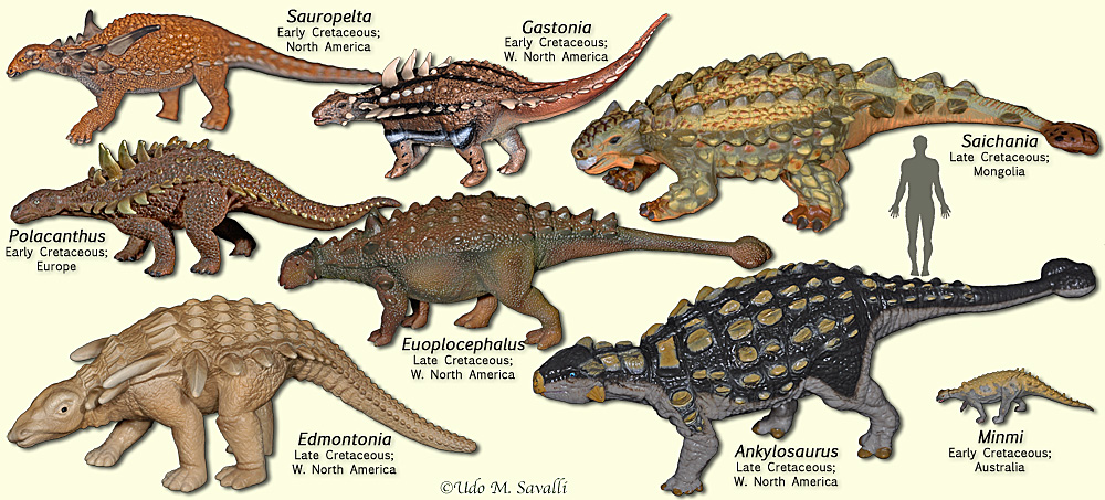 Image - AnkylosaurModels.jpg | Land Before Time Wiki | FANDOM powered by Wikia