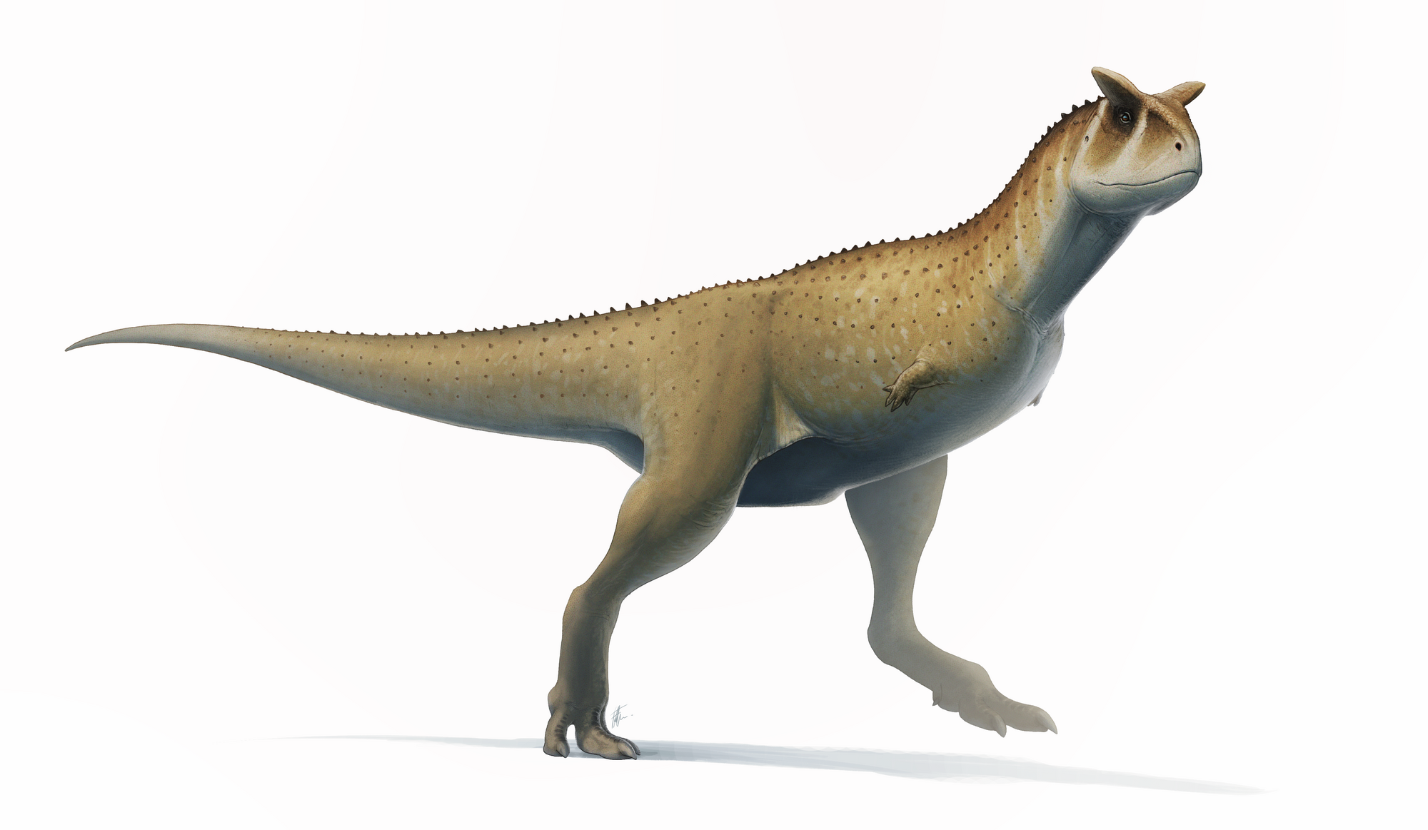the land before time carnotaurus