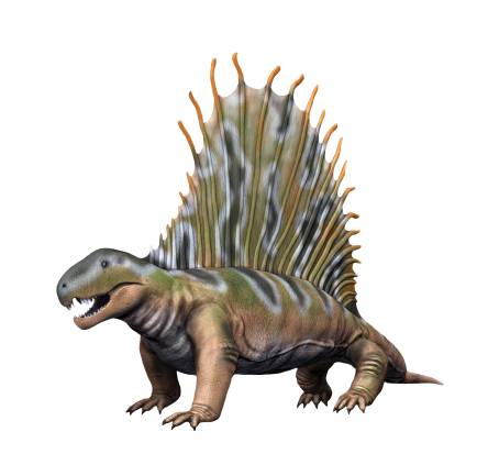 dinosaur with the fin on its back