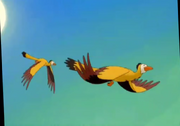 Archaeopteryx TLBT